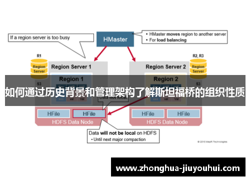 如何通过历史背景和管理架构了解斯坦福桥的组织性质