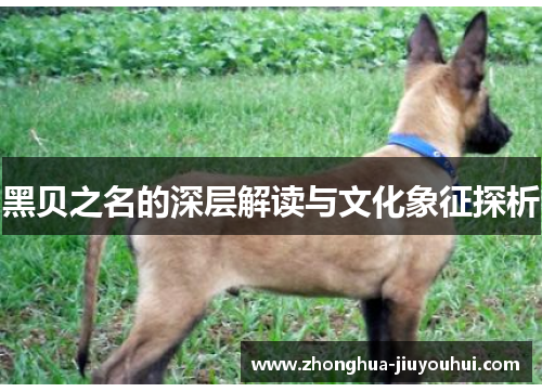 黑贝之名的深层解读与文化象征探析 黑贝之名的深层解读与文化象征探析
